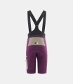 men-cargo-bibshort-purple-odyssey-back-pedaled.jpeg