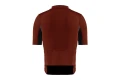 BURNT_OCHRE_BACK_M_0f3b0a17-ec8f-4dad-b2f8-015ff36eb48d.webp