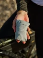 Albion_096.webp